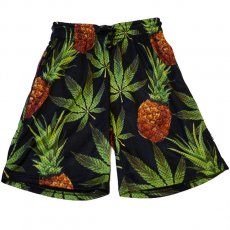 <img class='new_mark_img1' src='https://img.shop-pro.jp/img/new/icons30.gif' style='border:none;display:inline;margin:0px;padding:0px;width:auto;' />Reason Clothing  "Pineapples"  メッシュショーツ / ブラック × グリーン