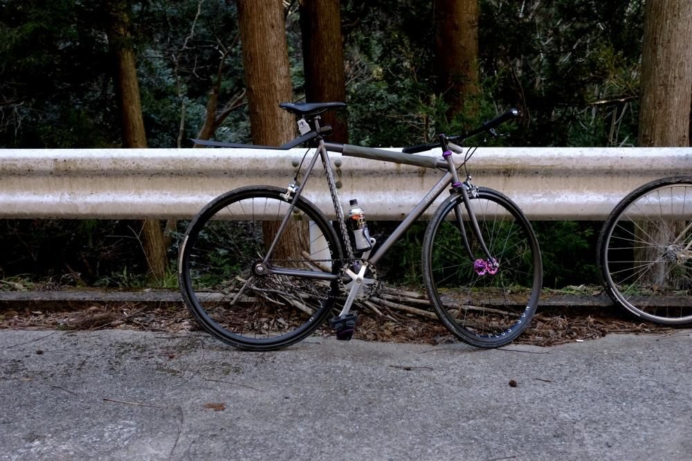 AFFINITY ロープロ　インチモデル AFFINITY CYCLES】LO PRO TRACK FRAME ( ILIDESCENT GREY