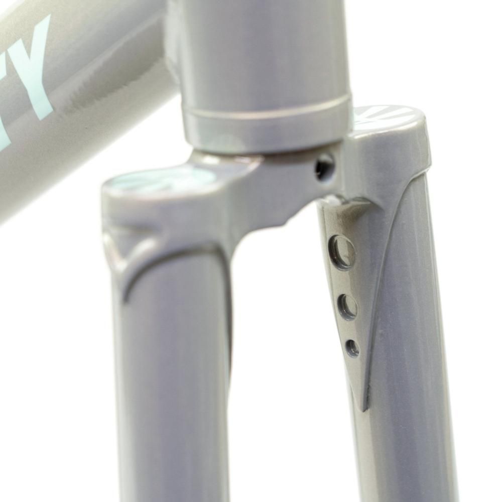 AFFINITY CYCLES 2024【Lo Pro Track Frame】Iridescent Grey - 自転車