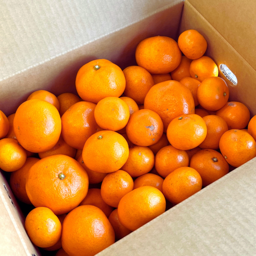 お買い得!ご家庭用 お買い得!ご家庭用