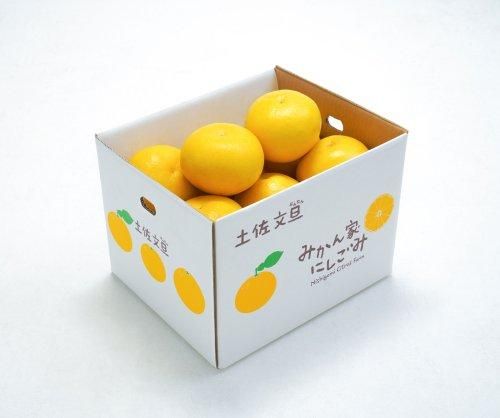 文旦