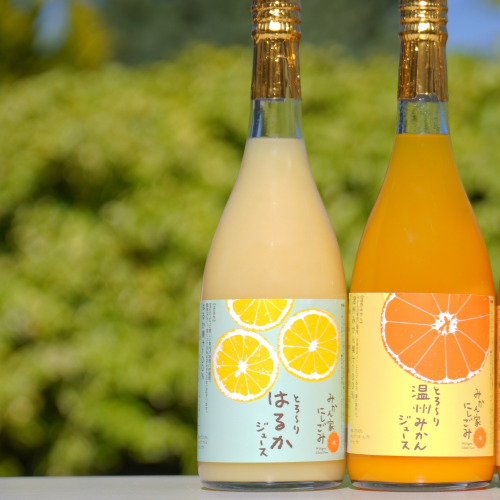【甘味セレクト】柑橘ジュース2本ギフトセット(とろ〜りみかん・はるか)