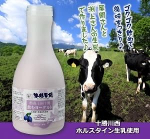 十勝飲むヨーグルトハスカップ500g 味想百盛オンラインショップ 安全 安心の納得のブランド