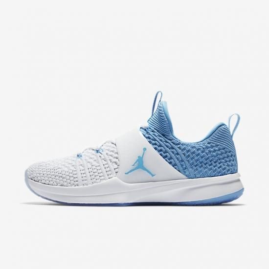 Jordan Trainer 2 Flyknit UNC NBA