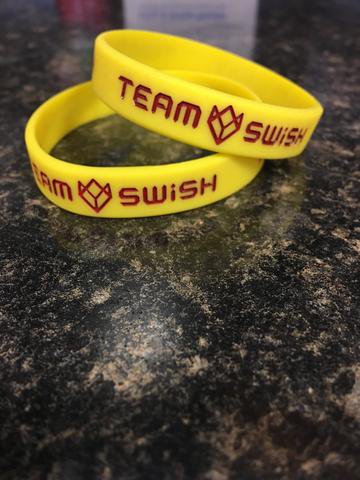 L¨ȯJRߥ ꥹȥХ Team Swish  ᡼