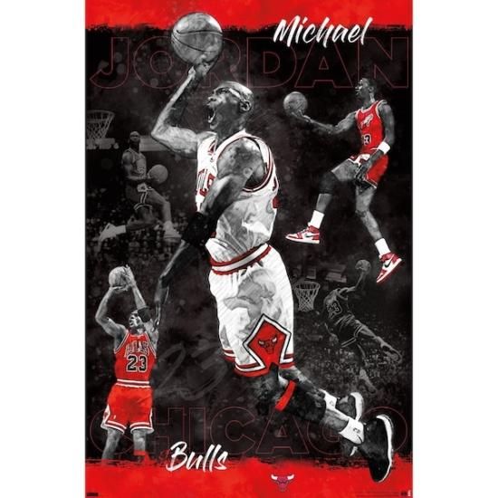 ＠CHICAGO BULLS (96 CHAMPIONS) ポスター NBA