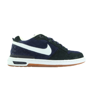 Paul Rodriguez Zoom Air Low