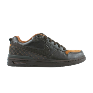 Paul Rodriguez Zoom Air Low