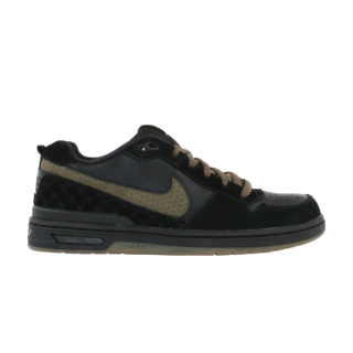 Paul Rodriguez Zoom Air Low