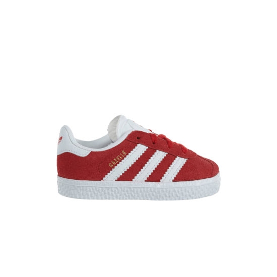 Gazelle I 'Scarlet' ᡼