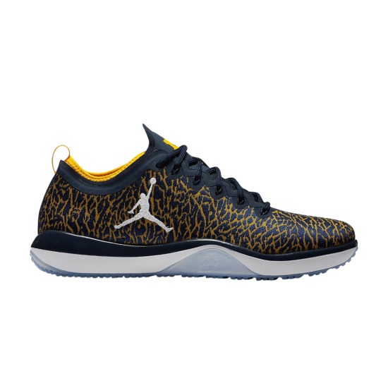 Jordan Trainer 1 Low 'Michigan' ᡼