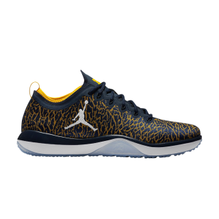Jordan Trainer 1 Low 'Michigan'