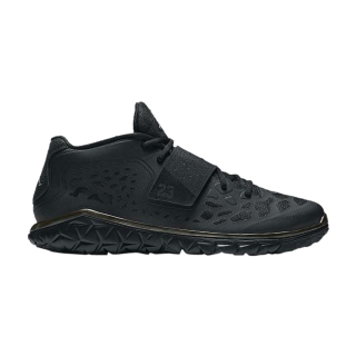 Jordan Flight Flex Trainer 2 'Blackout'
