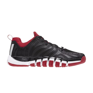 D Rose Englewood 2 'Black Scarlet'