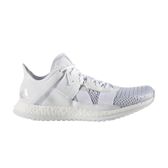 PureBoost ZG ᡼