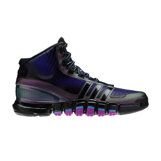 Adipure Crazy Quick 'Black Purple' ᡼