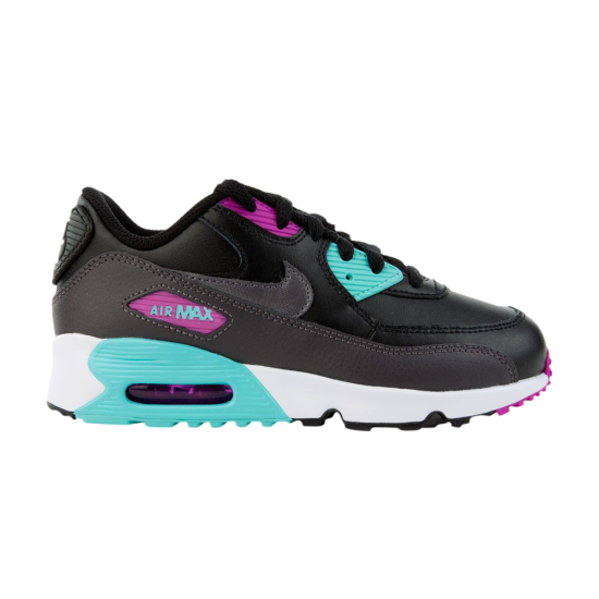 Air Max 90 Leather PS 'South Beach' ᡼