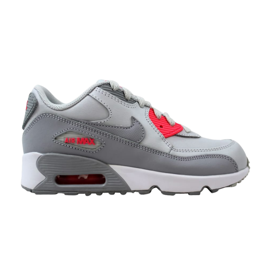 Air Max 90 Leather PS 'Pure Platinum Wolf Grey' ᡼