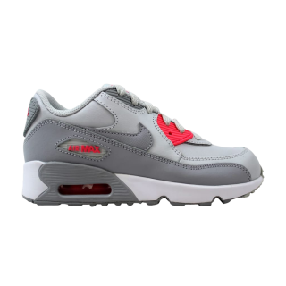 Air Max 90 Leather PS 'Pure Platinum Wolf Grey' ͥ