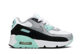 Air Max 90 PS 'Hyper Turquoise' ͥ