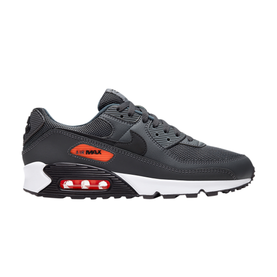 Air Max 90 'Dark Grey' ᡼