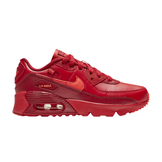 Air Max 90 PS 'City Special - Chicago' ͥ