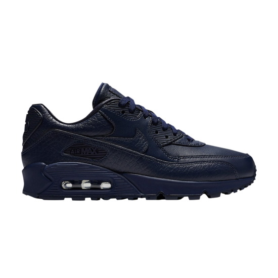 Wmns Air Max 90 Pinnacle 'Obsidian' ᡼