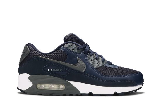 Air Max 90 'Obsidian Iron Grey' ᡼