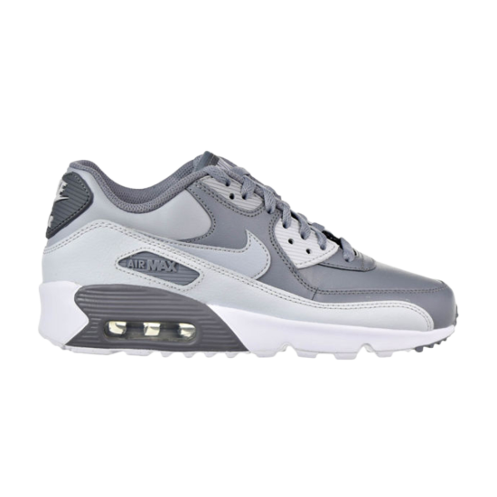 Air Max 90 LTR GS 'Cool Grey' ᡼