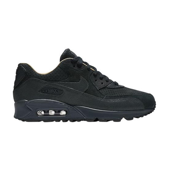 Wmns Air Max 90 Pinnacle 'Seaweed' ᡼