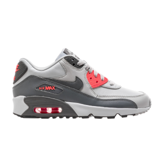 Air Max 90 LTR GS 'Pure Platinum' ͥ