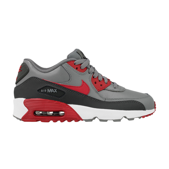 Air Max 90 LTR GS 'Cool Grey' ᡼