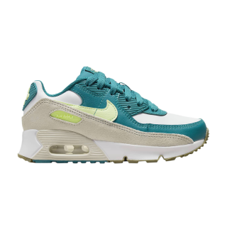 Air Max 90 Leather PS 'White Bright Spruce' ͥ