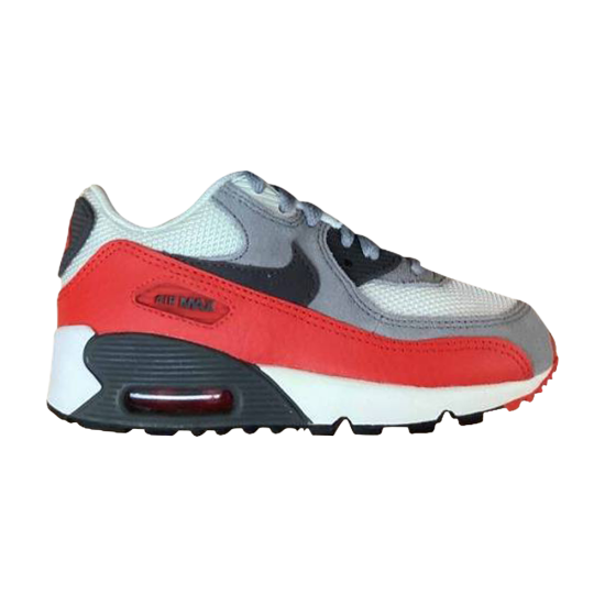 Air Max 90 PS 'Wolf Grey Challenge Red' ᡼