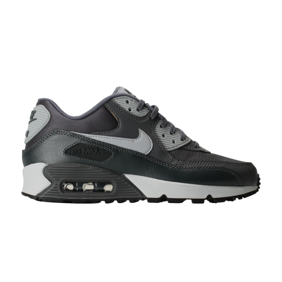 Wmns Air Max 90 Essential 'Dark Grey Anthracite' ᡼