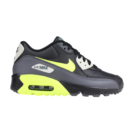 Air Max 90 LTR GS 'Dark Grey Volt' ᡼