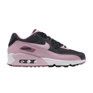 Wmns Air Max 90 'Plum Chalk' ͥ