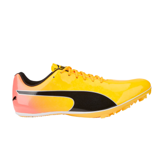 evoSpeed Sprint 14 'Sun Stream Sunset Glow' ͥ