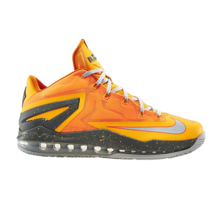 Max LeBron 11 Low 'Floridian' ͥ