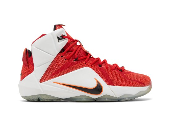 LeBron 12 EP 'Heart Of A Lion' ᡼