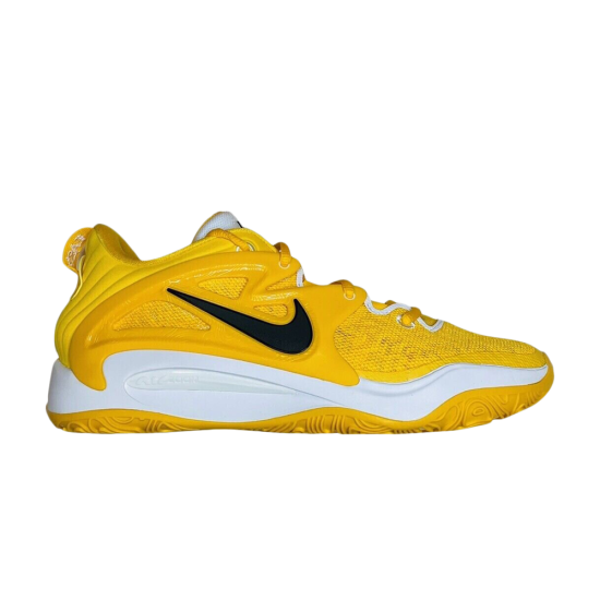 KD 15 TB 'University Gold' ᡼