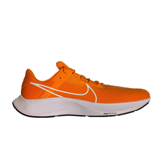 Air Zoom Pegasus 38 TB 'Bright Ceramic'