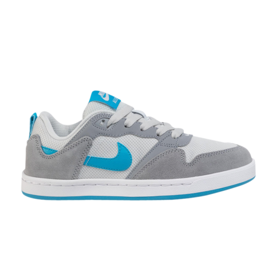 Alleyoop SB GS 'Particle Grey Blue' ᡼