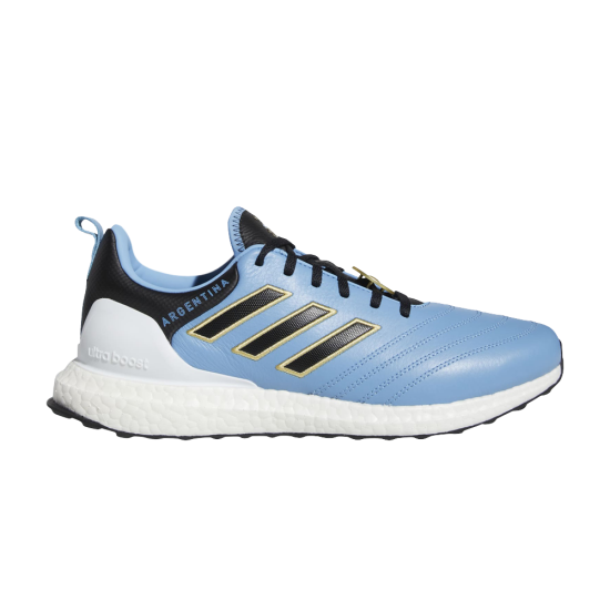 UltraBoost DNA 'Copa World Cup - Argentina' ᡼