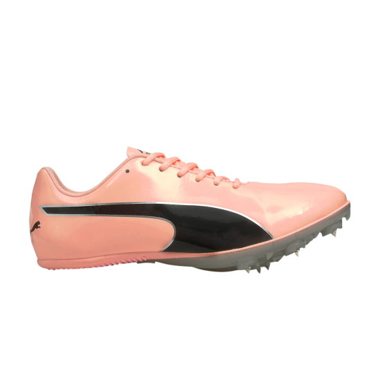 evoSpeed Sprint 10 'Elektro Peach' ᡼