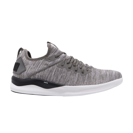 Ignite Flash EvoKnit 'Steel Gray' ᡼