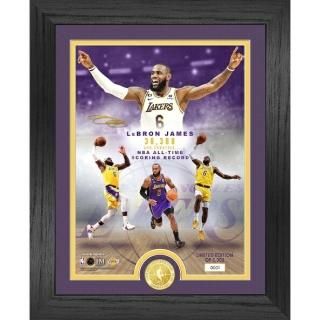 ֥󥸥ॺ 󥼥륹쥤 ϥɥߥ 33.0cm x 40.6cm NBA 쥸s -  Record Brze  ͥ