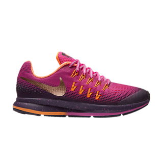 Air Zoom Pegasus 33 Shield GS ͥ