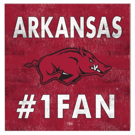 Arkansas RazorХås 10'' x 10'' #1 ե ץ顼 ᡼