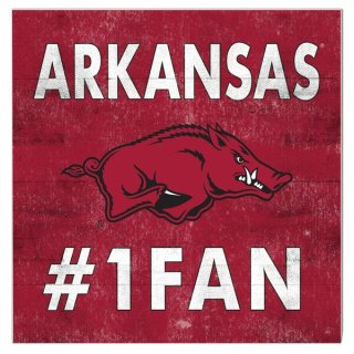 Arkansas RazorХås 10'' x 10'' #1 ե ץ顼 ͥ